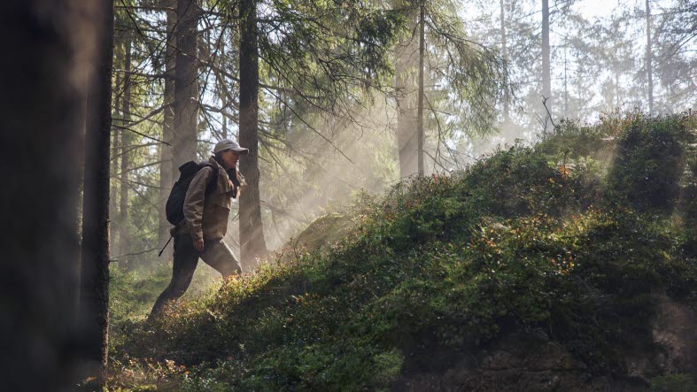 Person går i skogen uppför en backe